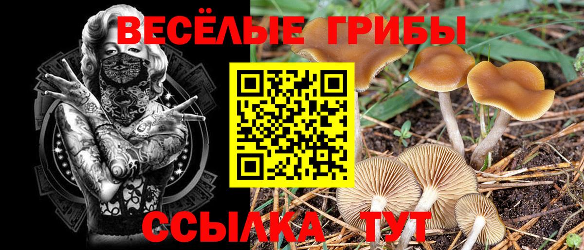 Елизово  сколько стоит  Вход с VPN  Галлюциногенные грибы прущие грибы 